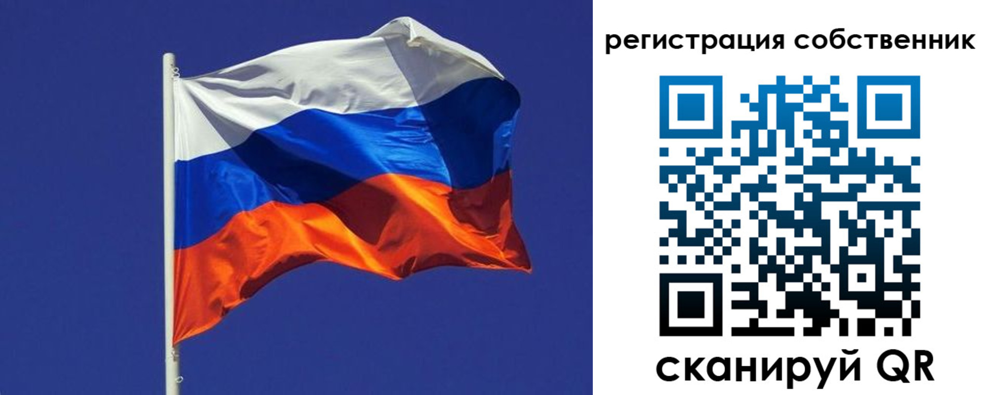 временная регистрация 2025 в Ельне